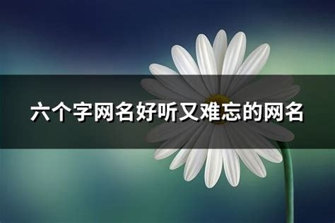 名字有6個字|六个字网名好听又难忘的网名 (426个)